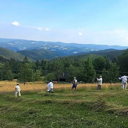 Pohoda Na Solani Hotel *